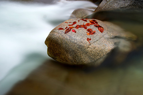 红叶成诗～光雾山-黄帝陵,秦始皇陵,秦始皇兵马俑,宝塔山,延安