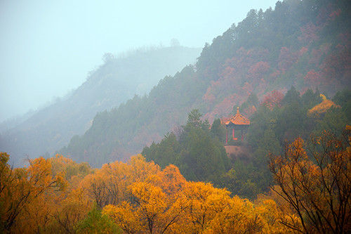 红叶成诗～光雾山-黄帝陵,秦始皇陵,秦始皇兵马俑,宝塔山,延安