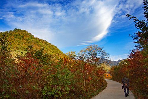 红叶成诗～光雾山-黄帝陵,秦始皇陵,秦始皇兵马俑,宝塔山,延安