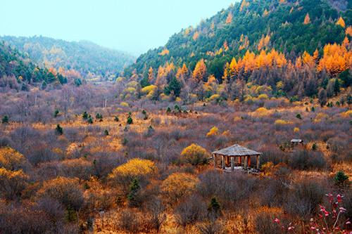 红叶成诗～光雾山-黄帝陵,秦始皇陵,秦始皇兵马俑,宝塔山,延安