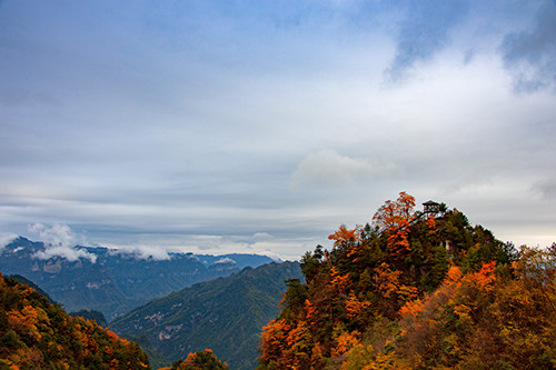 红叶成诗～光雾山-黄帝陵,秦始皇陵,秦始皇兵马俑,宝塔山,延安