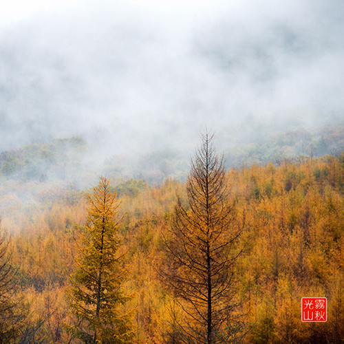 红叶成诗～光雾山-黄帝陵,秦始皇陵,秦始皇兵马俑,宝塔山,延安