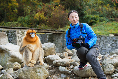 红叶成诗～光雾山-黄帝陵,秦始皇陵,秦始皇兵马俑,宝塔山,延安