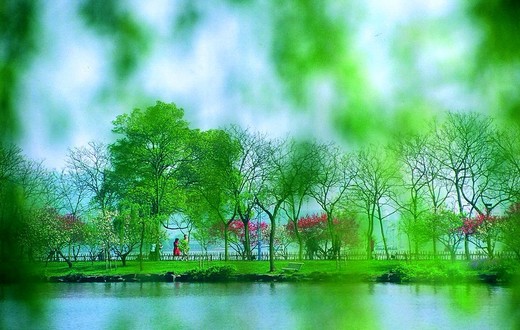杭城攻略  (上)-灵隐寺,西溪湿地,西湖,杭州
