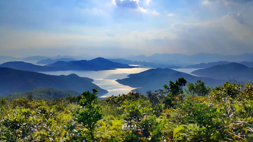 怎么避免买到假机票？浅谈携程 去哪儿事件