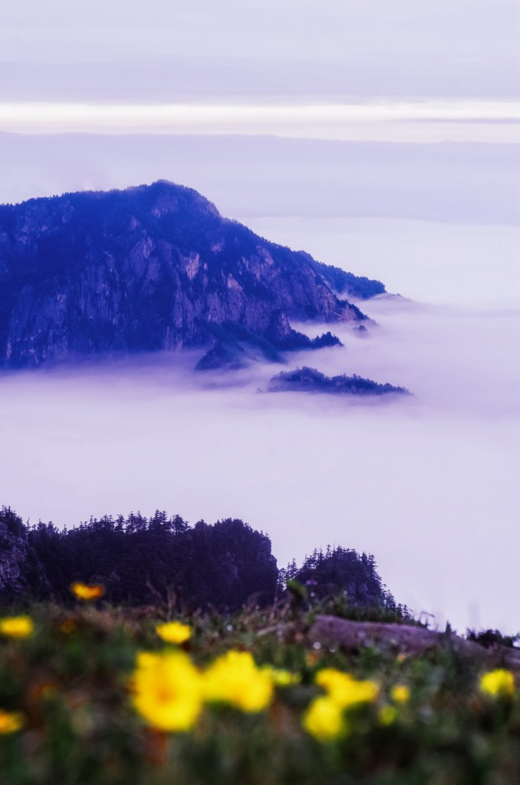 龙脊上的毕业旅行——一个摄影者的鳌太穿越（2）-太白山