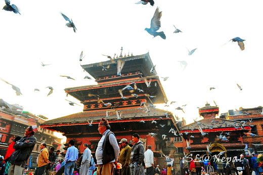 飞翔吧，来自雪山古国的召唤——2015年清明尼泊尔行 （三）-博达哈大佛塔,加德满都杜巴广场,加德满都,帕坦杜巴广场,帕坦