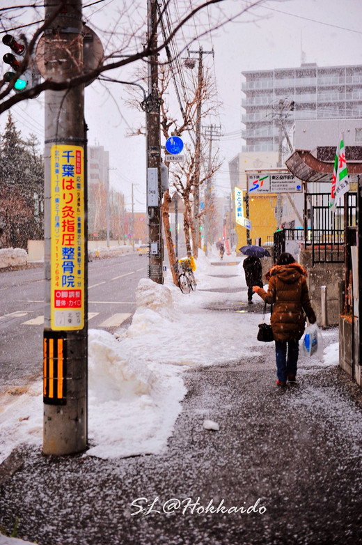 冬之北海道——2015年春节日本行（二）-北海道神宫,东京,札幌电视塔,小樽运河,小樽