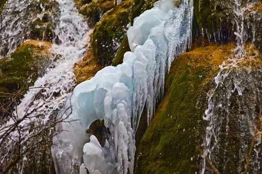飞瀑与冰雪交融，走进冬天的九寨-诺日朗瀑布,五彩池,五花海,熊猫海,九寨沟