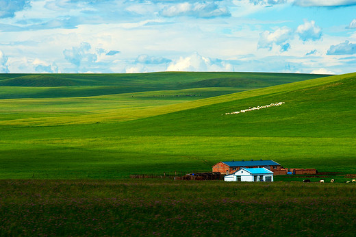一路向北～七月的呼伦贝尔大草原-恩和俄罗斯民族村,白桦林,额尔古纳,额尔古纳河