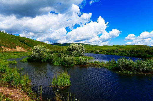一路向北～七月的呼伦贝尔大草原-恩和俄罗斯民族村,白桦林,额尔古纳,额尔古纳河