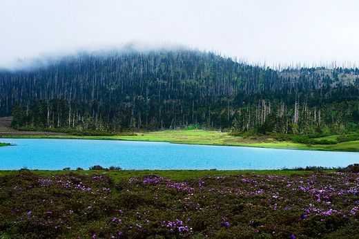 彩云之南～触摸香格里拉-独克宗古城,纳帕海,黑龙潭,玉龙雪山,虎跳峡