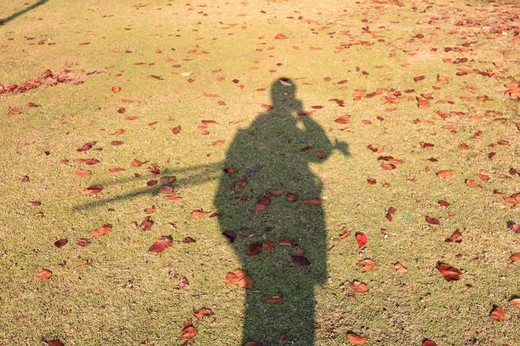 红叶季的霓虹国独行【2】-奈良公园,春日大社,大阪,岚山,六本木