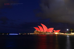 为庆祝中国新年，悉尼歌剧院亮起了中国红