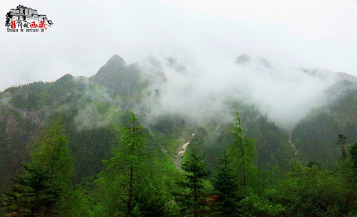 川越西藏，魂牵梦萦（14天自驾详细攻略三）-南迦巴瓦峰,雅鲁藏布大峡谷,八一,鲁朗,墨脱