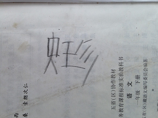 川越西藏，魂牵梦萦（14天自驾详细攻略三）-南迦巴瓦峰,雅鲁藏布大峡谷,八一,鲁朗,墨脱