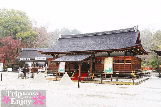 樱の物语、花见关西12日游(京都篇上集D1~D2)-东寺,西本愿寺,二条城,大阪