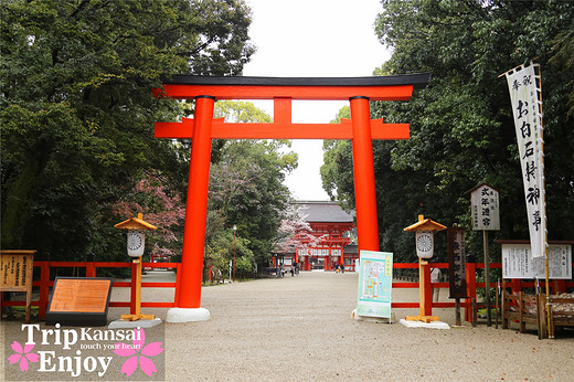 樱の物语、花见关西12日游(京都篇上集D1~D2)-东寺,西本愿寺,二条城,大阪