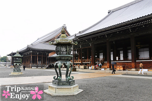 樱の物语、花见关西12日游(京都篇上集D1~D2)-东寺,西本愿寺,二条城,大阪