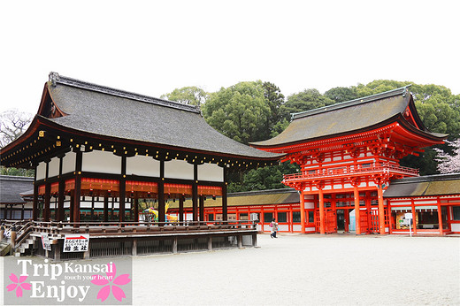 樱の物语、花见关西12日游(京都篇上集D1~D2)-东寺,西本愿寺,二条城,大阪