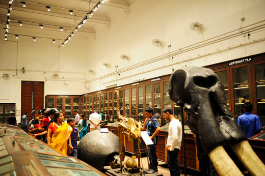 独行印度30日——随便一躺，口袋里掉出5卢比（二）-金奈,杰都加尔印度博物馆,维多利亚纪念馆-加尔各答,塔霸中国城,加尔各答