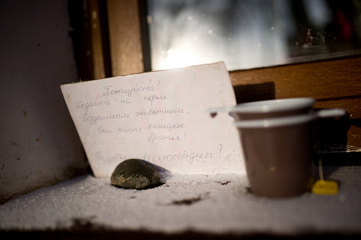 一封写给俄罗斯的冬日长信（五）-涅瓦大街,莫斯科河,新圣女公墓,贝加尔湖,莫斯科