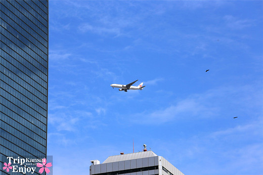 樱の物语、花见关西12日游(大阪篇上集~D5)-京都,通天阁,心斋桥,大阪城,大阪城公园