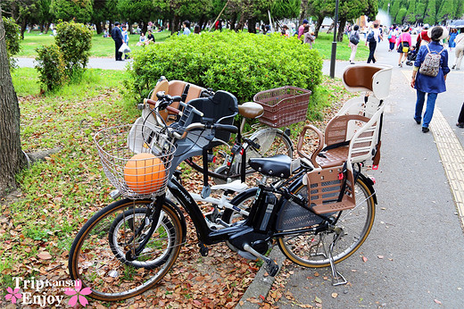 樱の物语、花见关西12日游(大阪篇上集~D5)-京都,通天阁,心斋桥,大阪城,大阪城公园