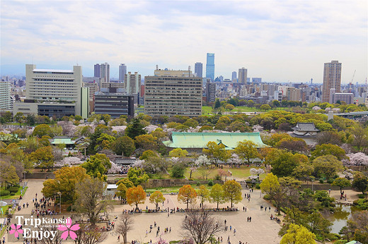 樱の物语、花见关西12日游(大阪篇上集~D5)-京都,通天阁,心斋桥,大阪城,大阪城公园