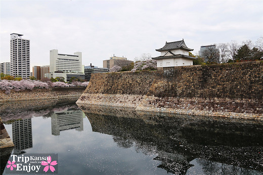 樱の物语、花见关西12日游(大阪篇上集~D5)-京都,通天阁,心斋桥,大阪城,大阪城公园