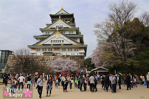 樱の物语、花见关西12日游(大阪篇上集~D5)-京都,通天阁,心斋桥,大阪城,大阪城公园