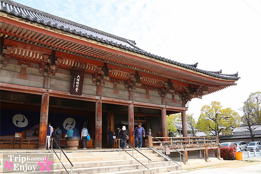 樱の物语、花见关西12日游(大阪篇上集~D5)-京都,通天阁,心斋桥,大阪城,大阪城公园