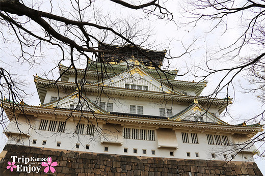 樱の物语、花见关西12日游(大阪篇上集~D5)-京都,通天阁,心斋桥,大阪城,大阪城公园