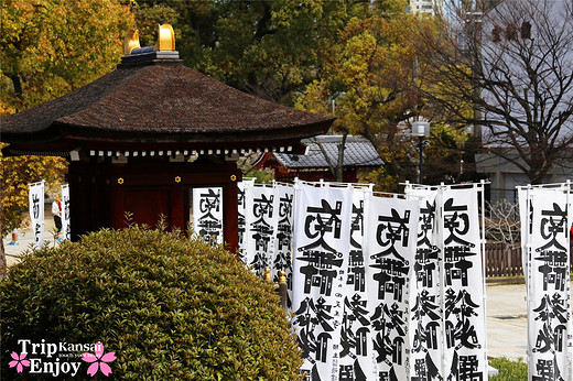 樱の物语、花见关西12日游(大阪篇上集~D5)-京都,通天阁,心斋桥,大阪城,大阪城公园