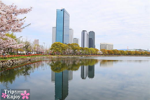 樱の物语、花见关西12日游(大阪篇上集~D5)-京都,通天阁,心斋桥,大阪城,大阪城公园