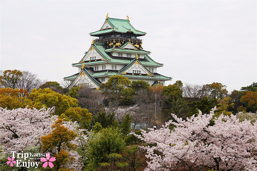 樱の物语、花见关西12日游(大阪篇上集~D5)-京都,通天阁,心斋桥,大阪城,大阪城公园