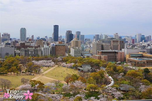 樱の物语、花见关西12日游(大阪篇上集~D5)-京都,通天阁,心斋桥,大阪城,大阪城公园