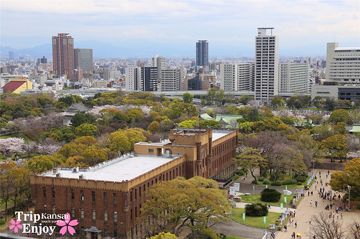 樱の物语、花见关西12日游(大阪篇上集~D5)-京都,通天阁,心斋桥,大阪城,大阪城公园