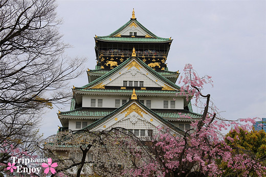 樱の物语、花见关西12日游(大阪篇上集~D5)-京都,通天阁,心斋桥,大阪城,大阪城公园