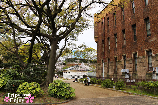 樱の物语、花见关西12日游(大阪篇上集~D5)-京都,通天阁,心斋桥,大阪城,大阪城公园