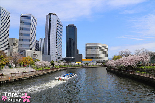 樱の物语、花见关西12日游(大阪篇上集~D5)-京都,通天阁,心斋桥,大阪城,大阪城公园