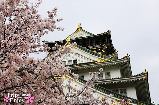 樱の物语、花见关西12日游(大阪篇上集~D5)-京都,通天阁,心斋桥,大阪城,大阪城公园