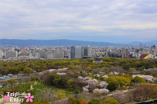 樱の物语、花见关西12日游(大阪篇上集~D5)-京都,通天阁,心斋桥,大阪城,大阪城公园