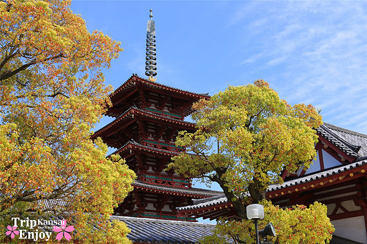 樱の物语、花见关西12日游(大阪篇上集~D5)-京都,通天阁,心斋桥,大阪城,大阪城公园