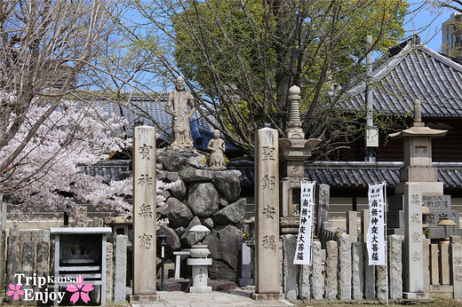 樱の物语、花见关西12日游(大阪篇上集~D5)-京都,通天阁,心斋桥,大阪城,大阪城公园