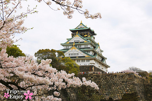 樱の物语、花见关西12日游(大阪篇上集~D5)-京都,通天阁,心斋桥,大阪城,大阪城公园