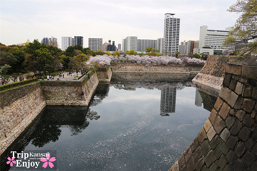 樱の物语、花见关西12日游(大阪篇上集~D5)-京都,通天阁,心斋桥,大阪城,大阪城公园