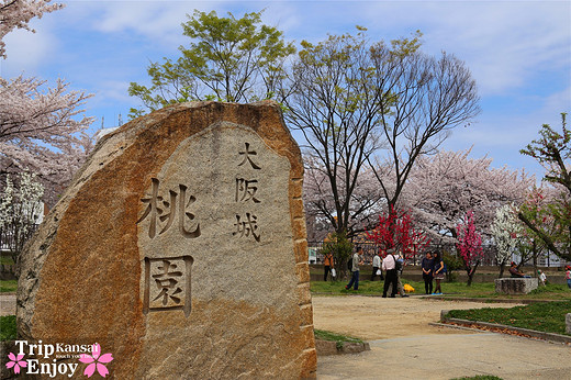 樱の物语、花见关西12日游(大阪篇上集~D5)-京都,通天阁,心斋桥,大阪城,大阪城公园