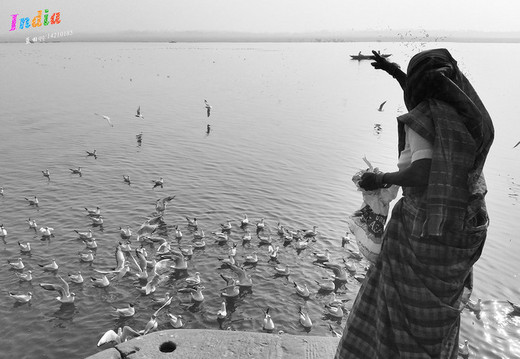 边走边拍-女子美摄印度40天（之六）-恒河,鹿野苑,瓦拉纳西