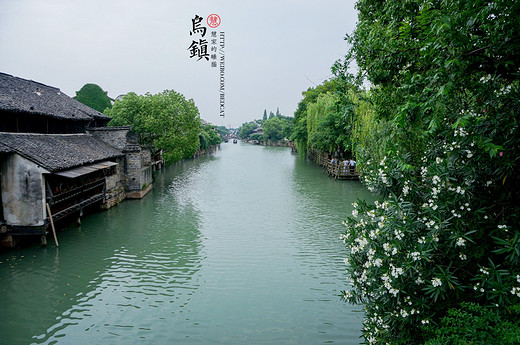我只是想出去走走——江南慢时光。杭州&乌镇（三）-苏堤,九溪,西湖